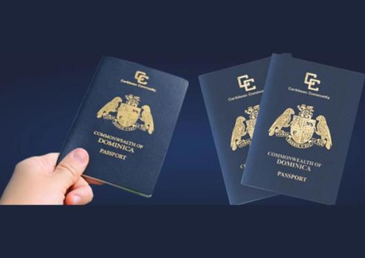 قدرت پاسپورت دومینیکا