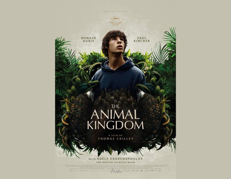 نقد فیلم قلمرو حیوانات (The Animal Kingdom)