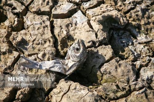 ششمین خشکسالی پی در پی در ایران تا آذرماه خبری از بارندگی های پاییزی نیست