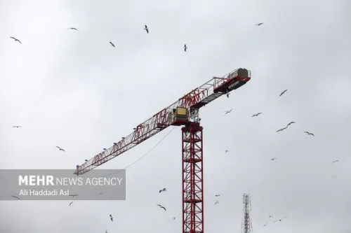 مدیریت سنتی، ترمز توسعه اقتصادی مناطق آزاد ایران است