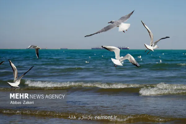 صدور هشدار نارنجی برای خلیج فارس ارتفاع موج به ۲۴۰ سانتی متر می رسد