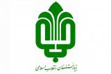 بنیاد مستضعفان ۲۵۰ زمین چمن مصنوعی در روستاهای محروم می سازد